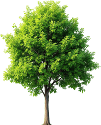 doğal enerji sistemleri